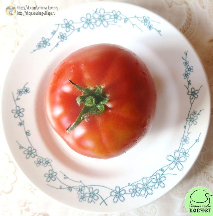 18. Кароль Шико биг паст (6)_1 2019г. Семена томата Кэрол Шико биг паст