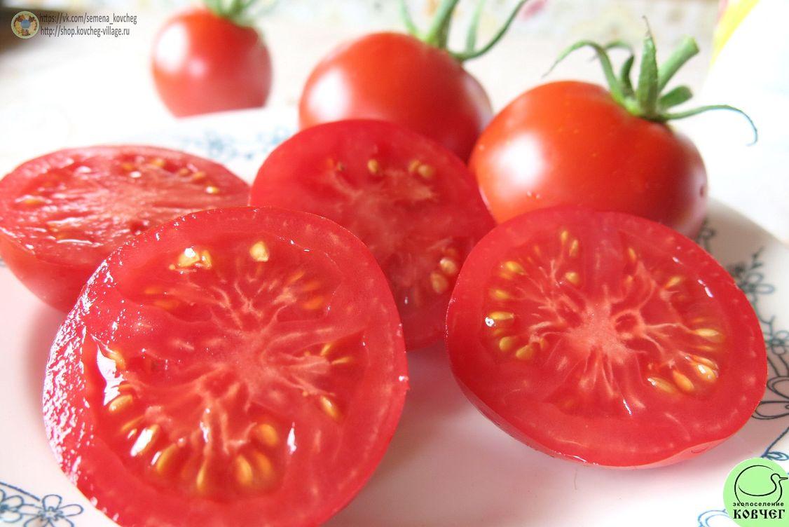 19. Кечкемети юбилейный (18)_1 2025г. Семена томата Кечкемети юбилейный