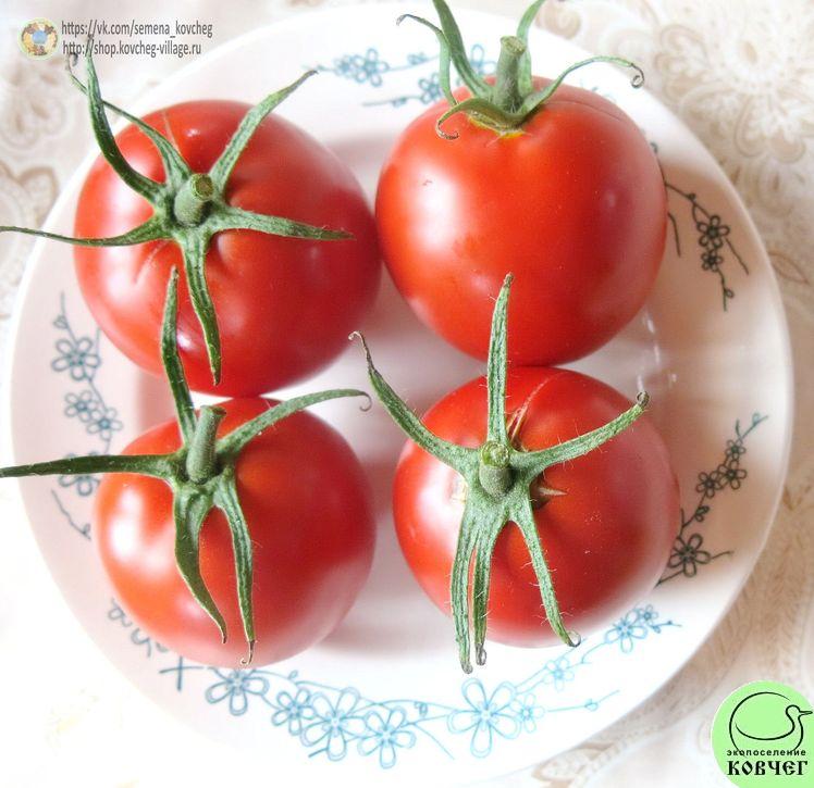 19. Кечкемети юбилейный (20)_1 2025г. Семена томата Кечкемети юбилейный