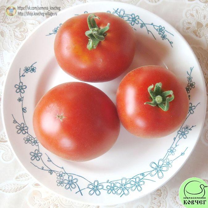21. Красный вельвет (5)_1 2019г. Семена томата Красный вельвет