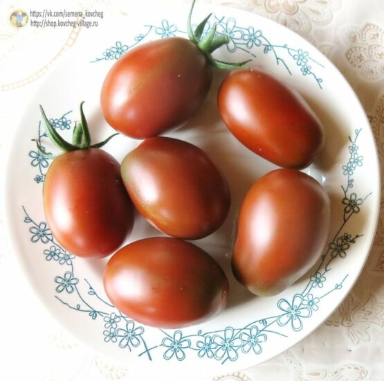 Семена томата Московский деликатес