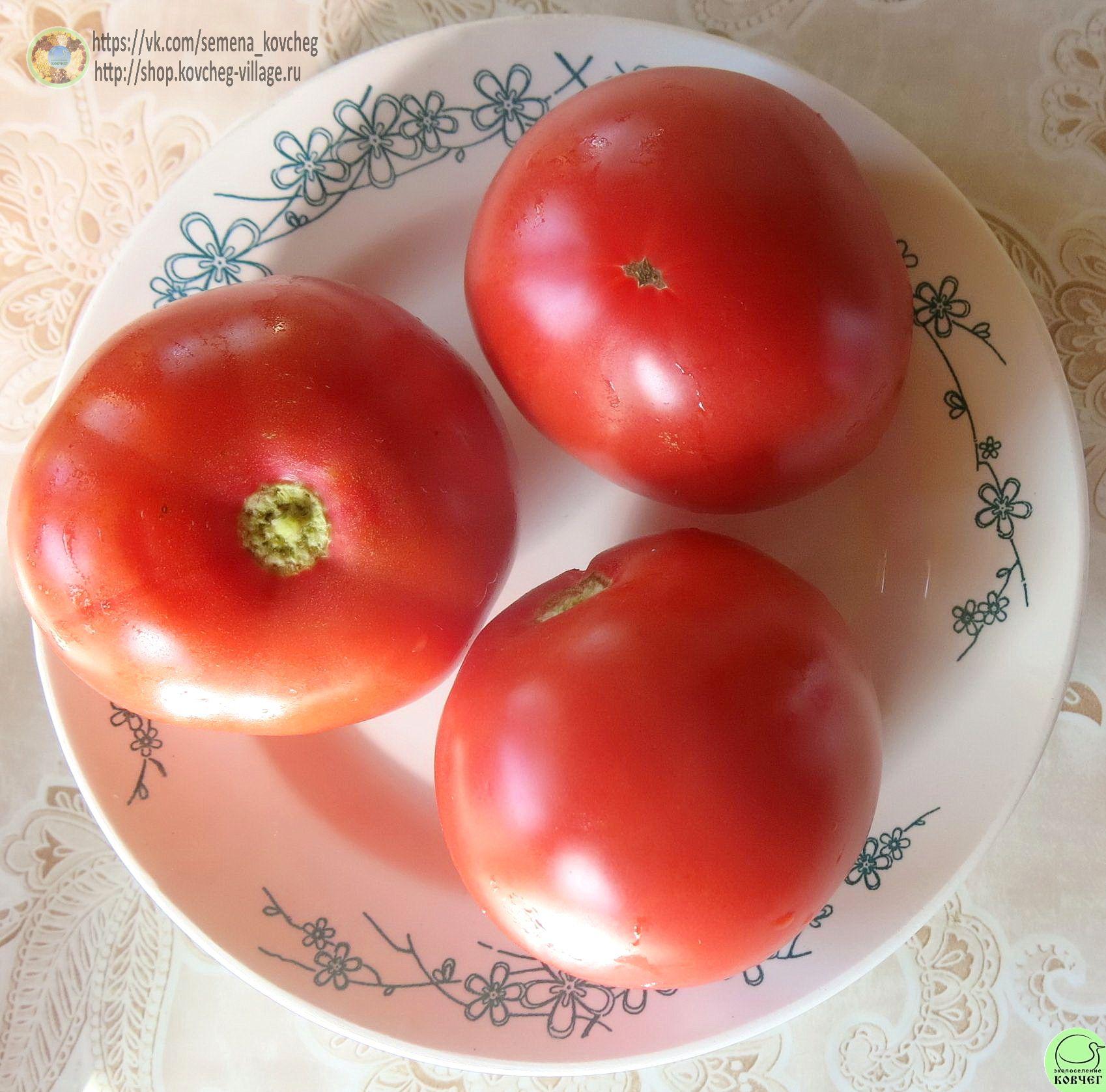 3. Анна русская (7) 2019г. Семена томата Анна Русская