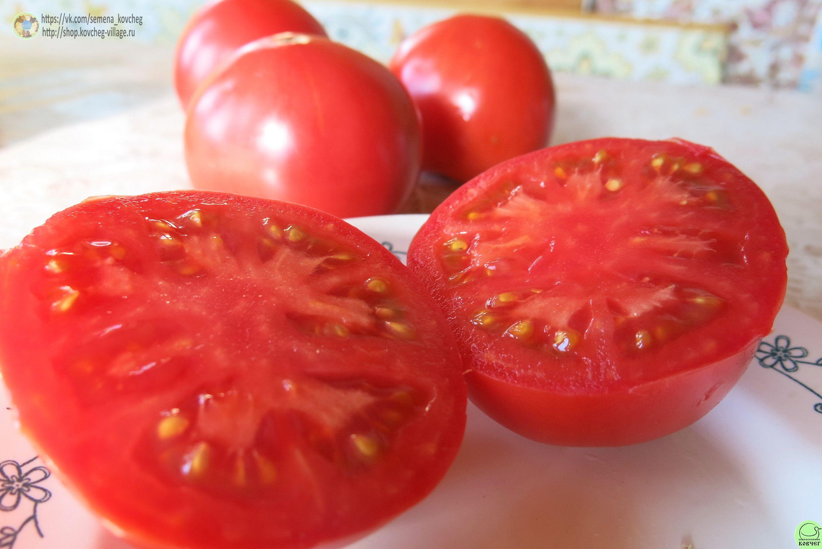 3. Анна русская (8) 2019г. Семена томата Анна Русская