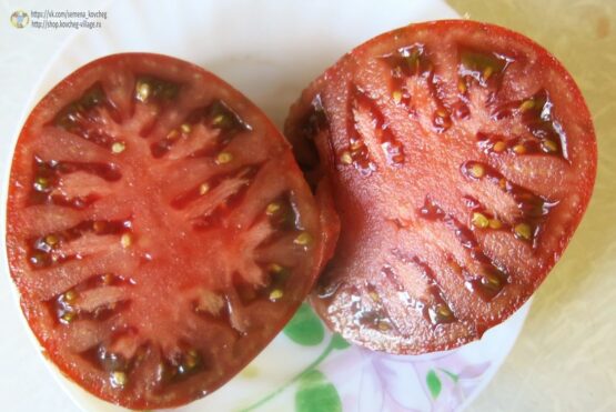 Семена томата Пурпурная страсть