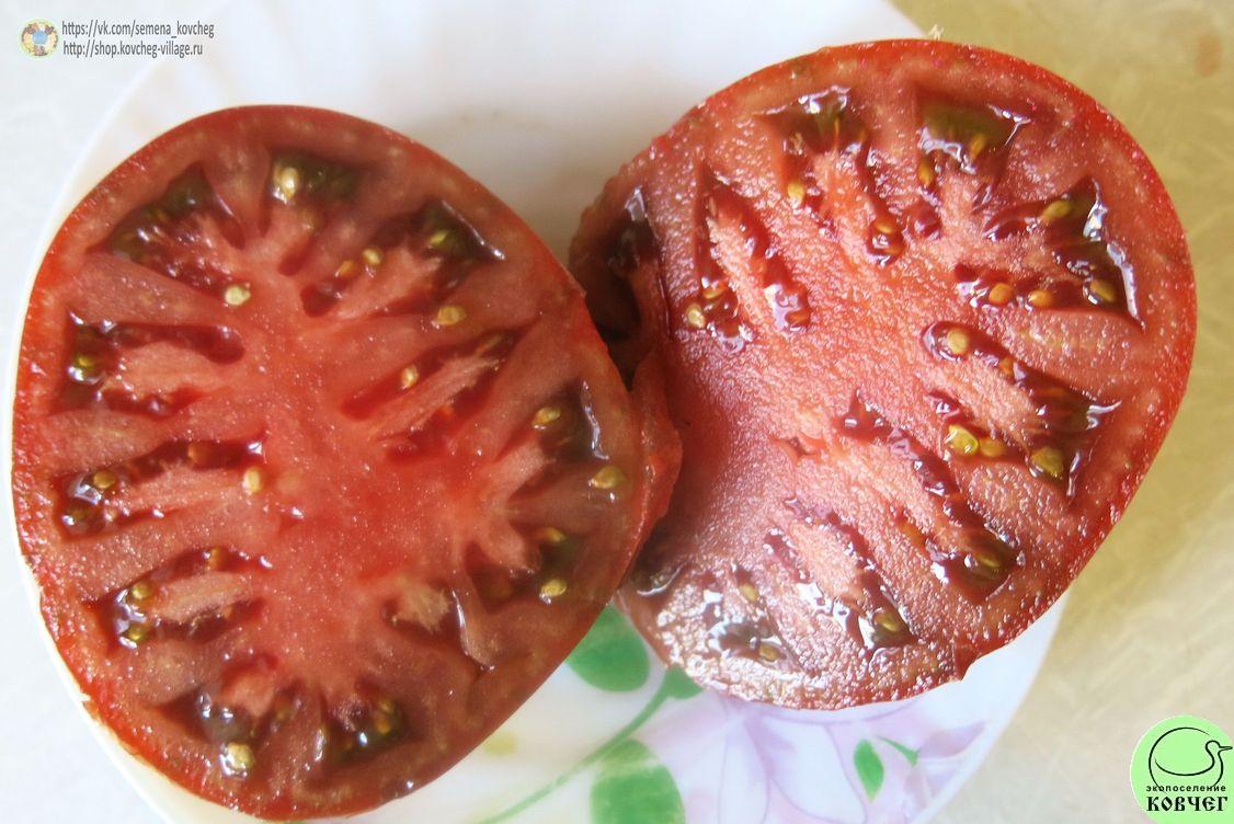 35. Пурпурная страсть (8)_1 2019г. Семена томата Пурпурная страсть