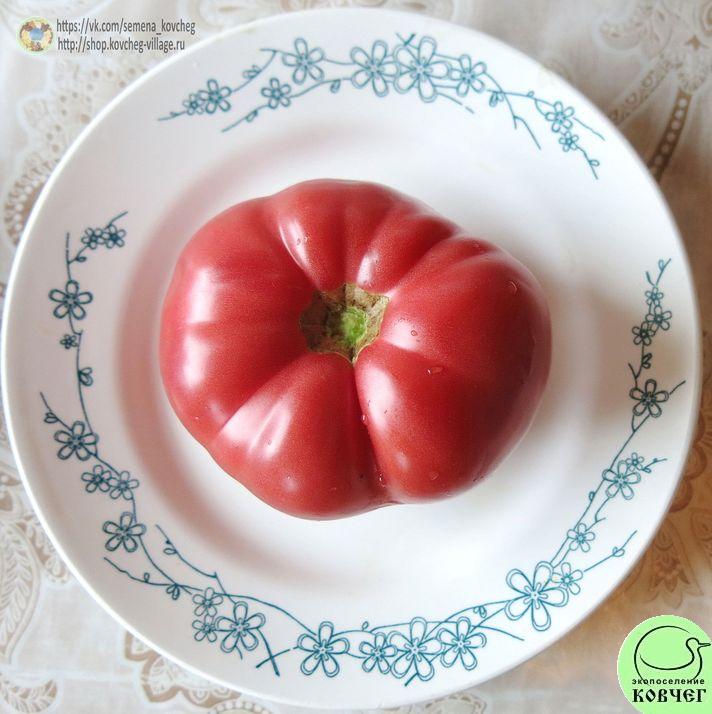 39. Санта Мария Роза (6)_1 2019г. Семена томата Санта-Мария-Роза