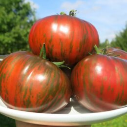 2025г. Семена томата Бёркли тай-дай пинк