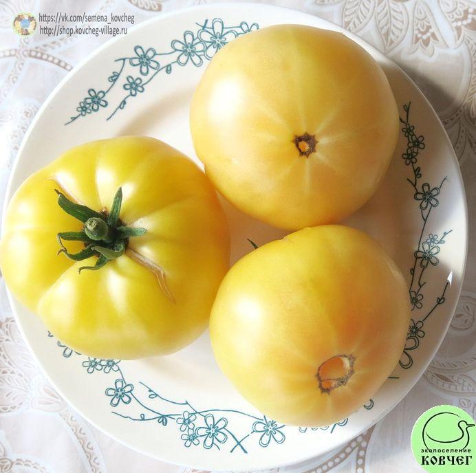 42. Сноубол (4)_1 2019г. Семена томата Сноуболл