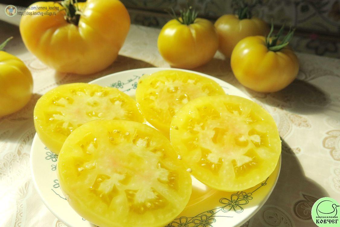 42. Сноубол (8)_1 2019г. Семена томата Сноуболл