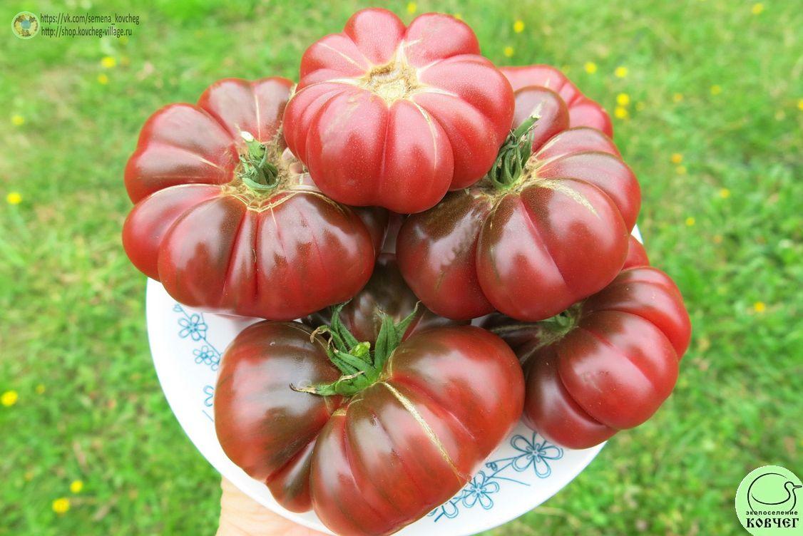 45. Фиолетовая тыква (5)_1 2019г. Семена томата Фиолетовая тыква