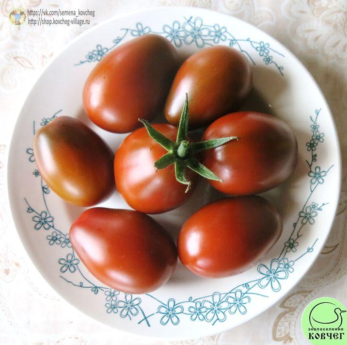 Помидоры чернослив фото Помидоры чернослив фото