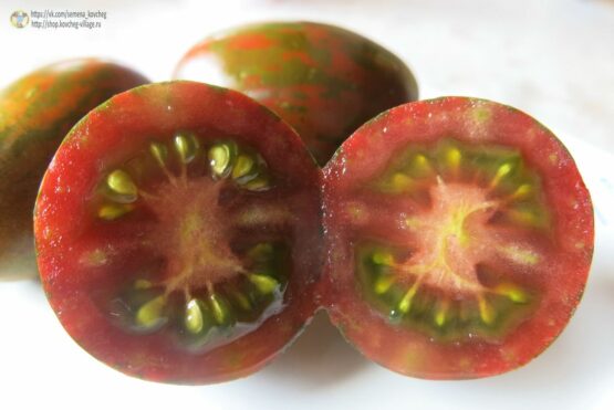 Семена томата Чёрный мавр полосатый
