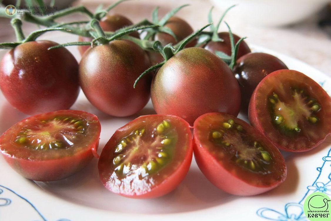 53. Чёрный шоколад черри (12)_1 2019г. Семена томата Чёрный шоколад черри