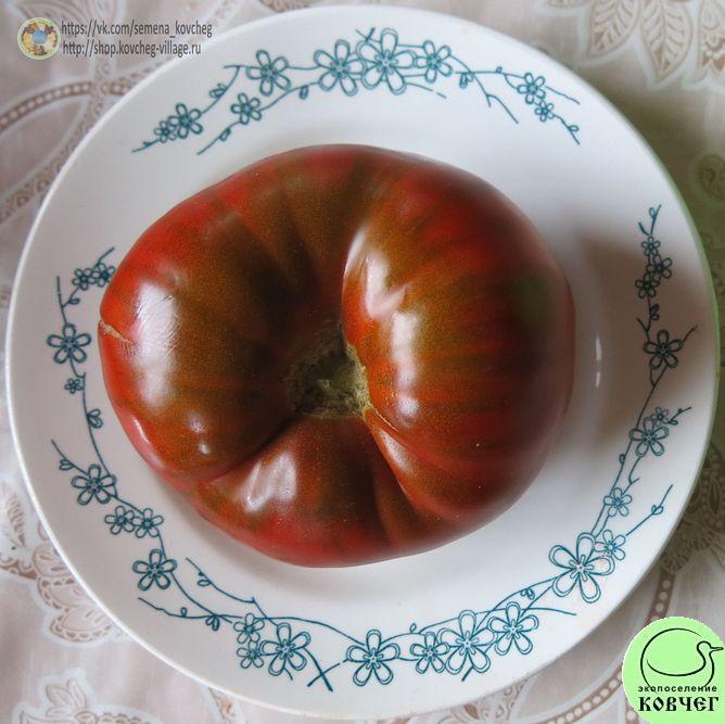 54. Чероки шоколад (12)_1 2019г. Семена томата Чероки шоколад