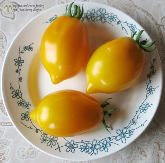 Семена томата Чилийский лимон