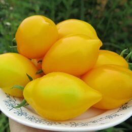 Семена томата Чилийский лимон