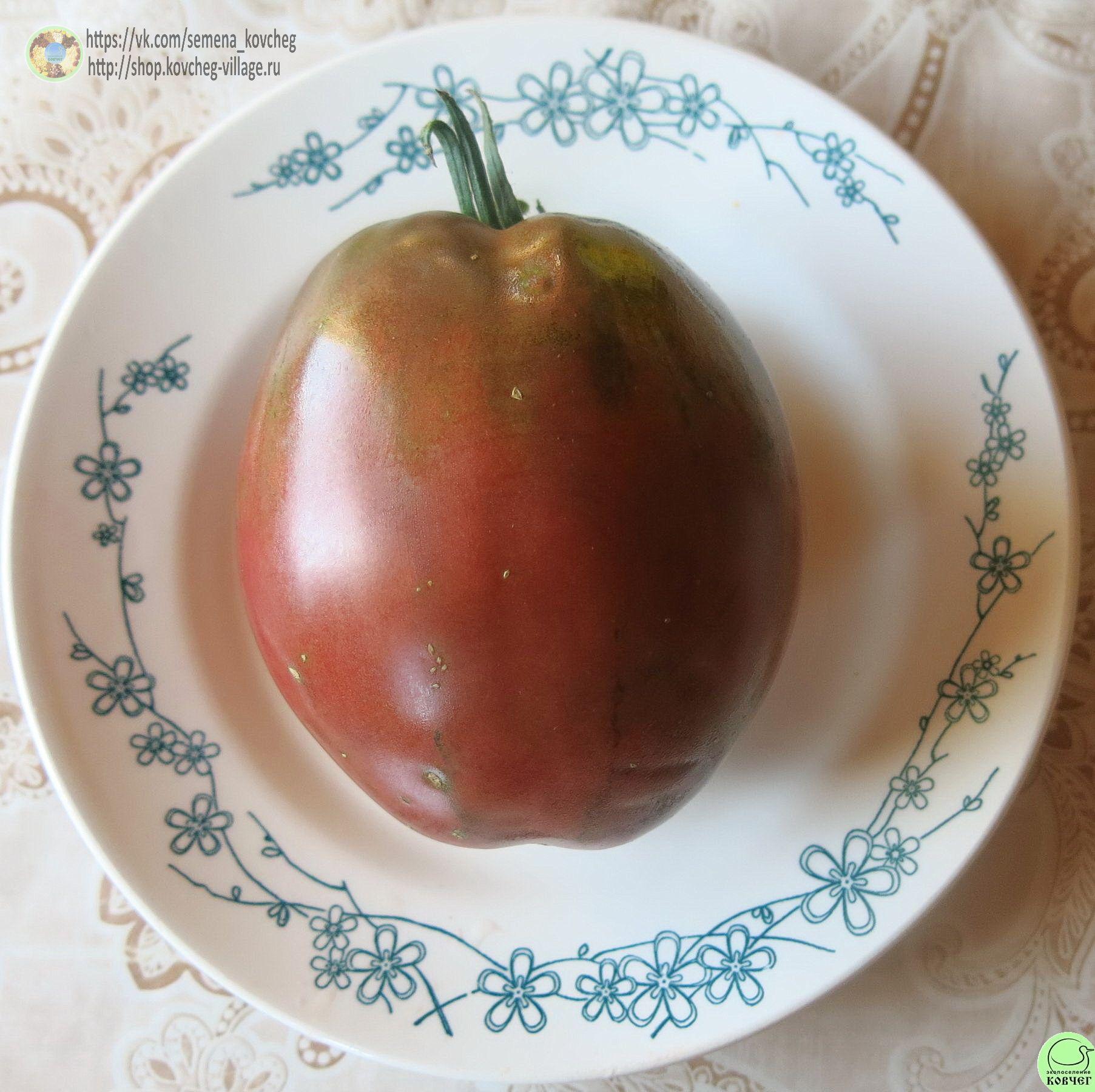 9. Бычье сердце чёрное (5) 2019г. Семена томата Бычье сердце чёрное