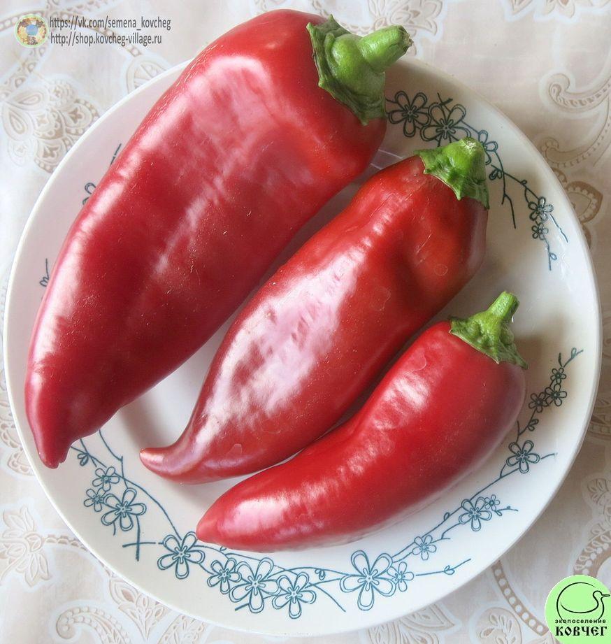 Перец сладкий 9. Дельфин (3)_2_1 2019г. Семена перца сладкого Дельфин (от Юли)