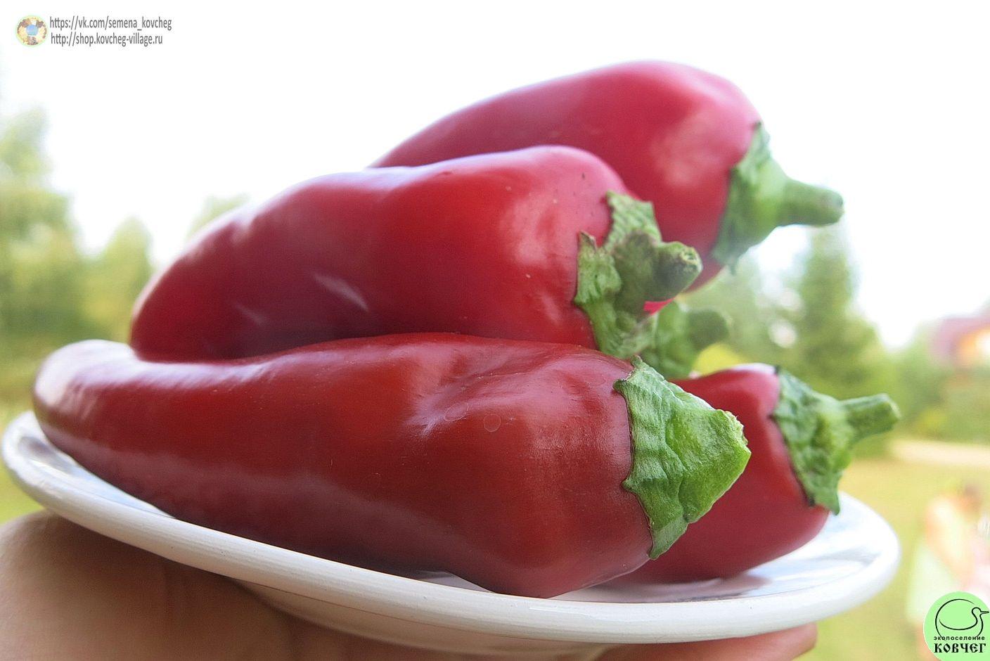 Перец сладкий 9. Дельфин (4)_2_1 2019г. Семена перца сладкого Дельфин (от Юли)