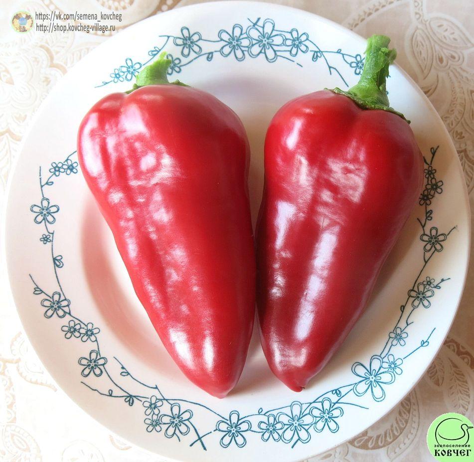 Перец следкий 9. Дельфин Ю (13)_2_1 2019г. Семена перца сладкого Дельфин (от Юли)