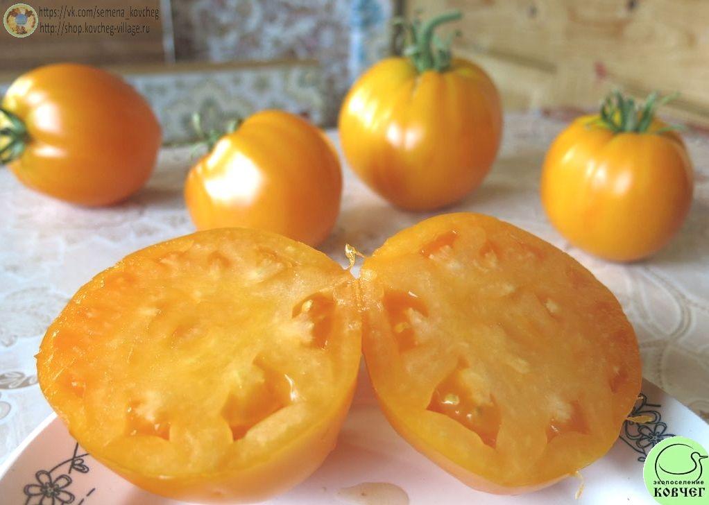 11. Доктор Вич (14)_1 Семена томата Доктор Вич