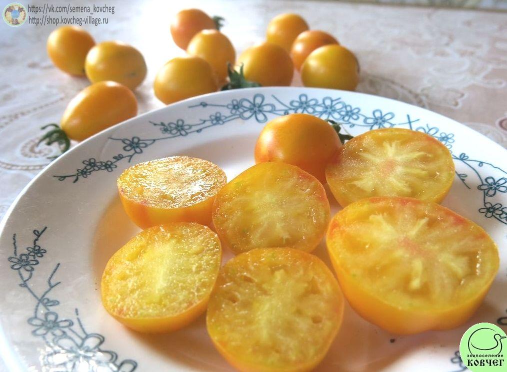 14. Жёлтые лампочки из Лопатино (11)_1 Семена томата Жёлтые лампочки из Лопатино