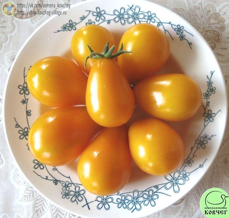 14. Жёлтые лампочки из Лопатино_1 Семена томата Жёлтые лампочки из Лопатино