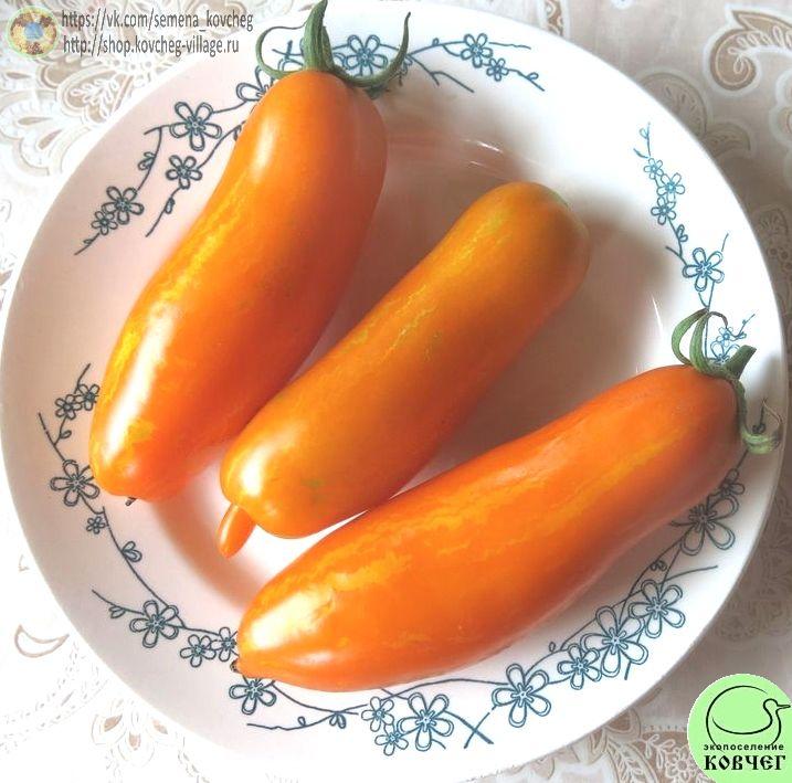 16. К-54-70 (3)_1 2025г. Семена томата К-54-70