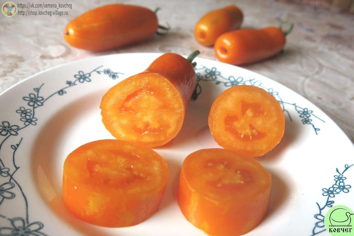 16. К-54-70 (6)_1 2025г. Семена томата К-54-70