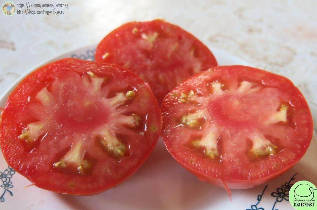 19. Коробейник (4)_1 Семена томата Коробейник