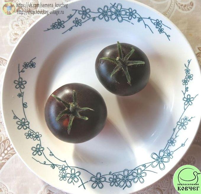 20. Королева ночи (2)_1 2025г. Семена томата Королева ночи