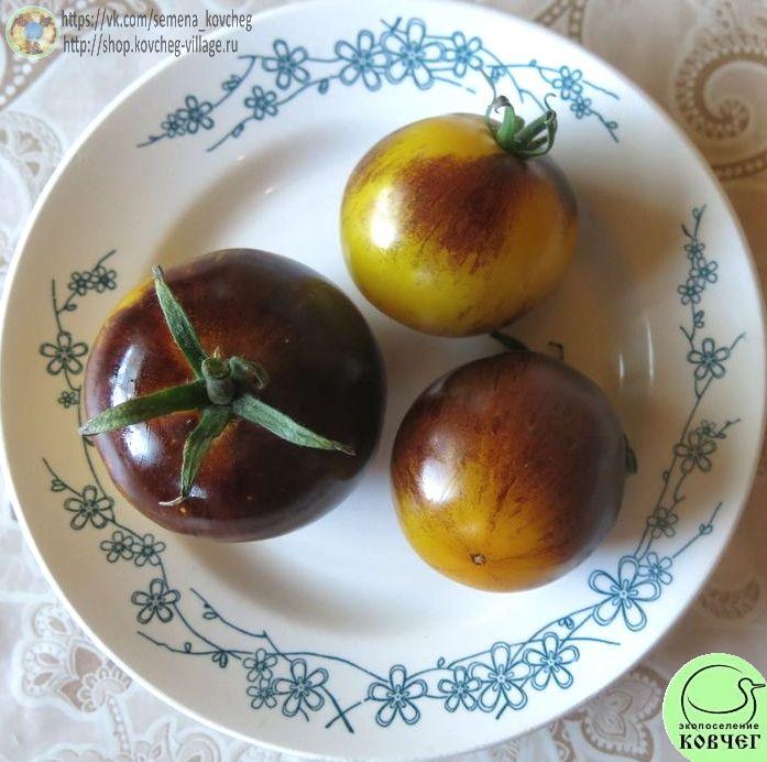 25. Основные цвета (3)_1 Семена томата Основные цвета