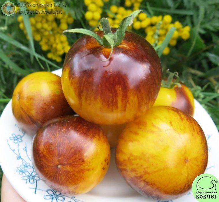 25. Основные цвета (4)_1 Семена томата Основные цвета