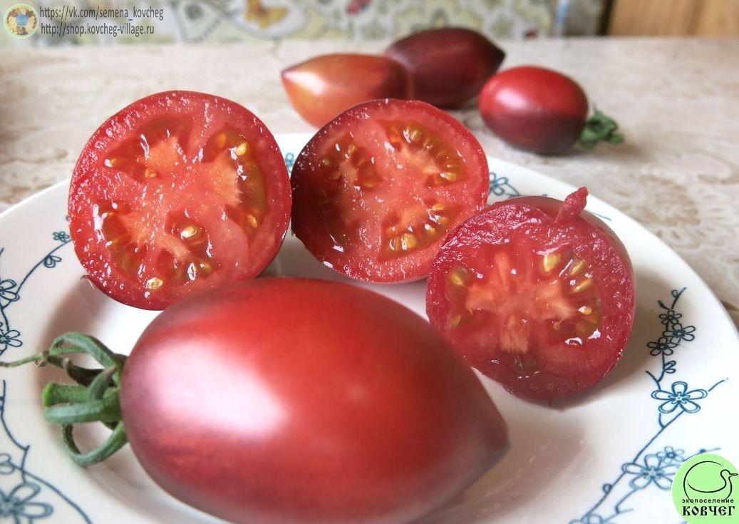 26. Паскаль из Пикардии (12)_1 Семена томата Паскаль из Пикардии