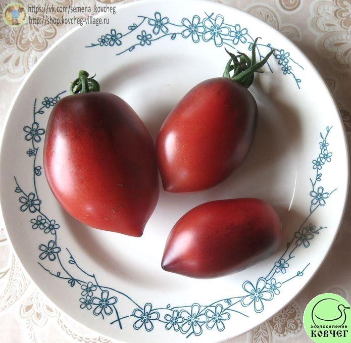 26. Паскаль из Пикардии (9)_1 Семена томата Паскаль из Пикардии