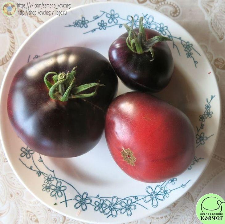 29. Розовый Сибирский тигр (3)_1 Семена томата Розовый Сибирский тигр