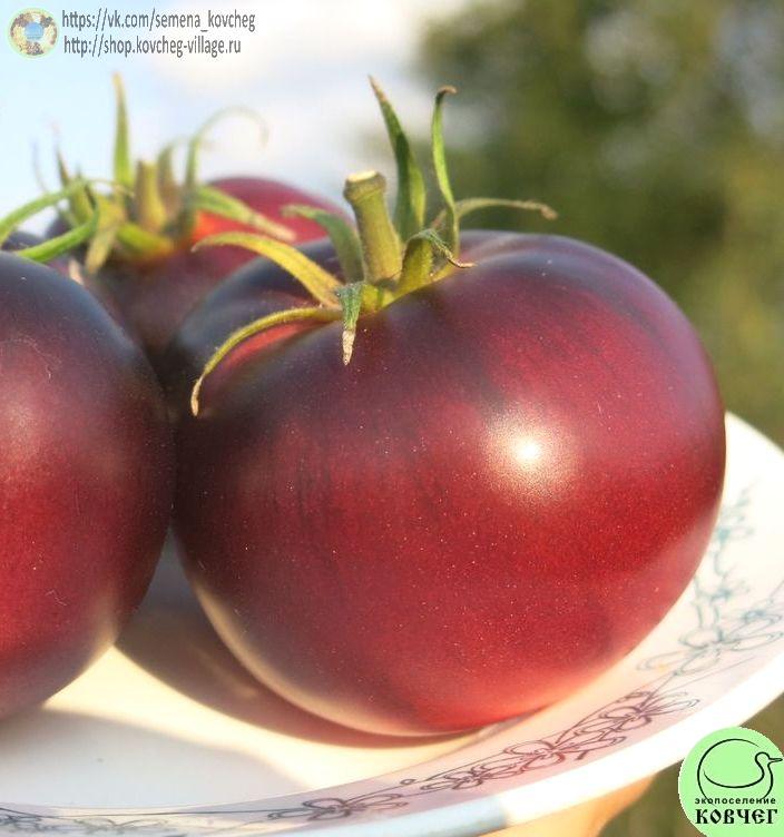 29. Розовый Сибирский тигр (5)1_1 Семена томата Розовый Сибирский тигр