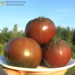 2025г. Семена томата Синие небеса