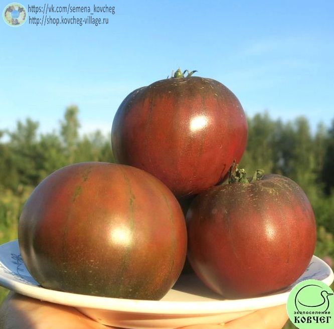 34. Синие небеса (9)_1 2025г. Семена томата Синие небеса