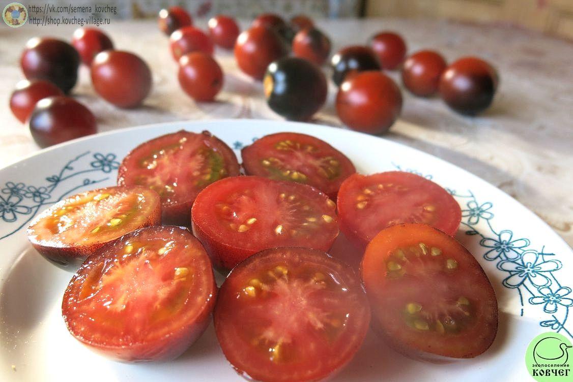 35. Синяя Гроздь (9)_1 Семена томата Синяя Гроздь