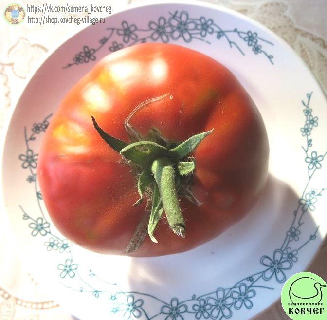 38. Старообрядческий (12)_1 2024г. Семена томата Старообрядческий