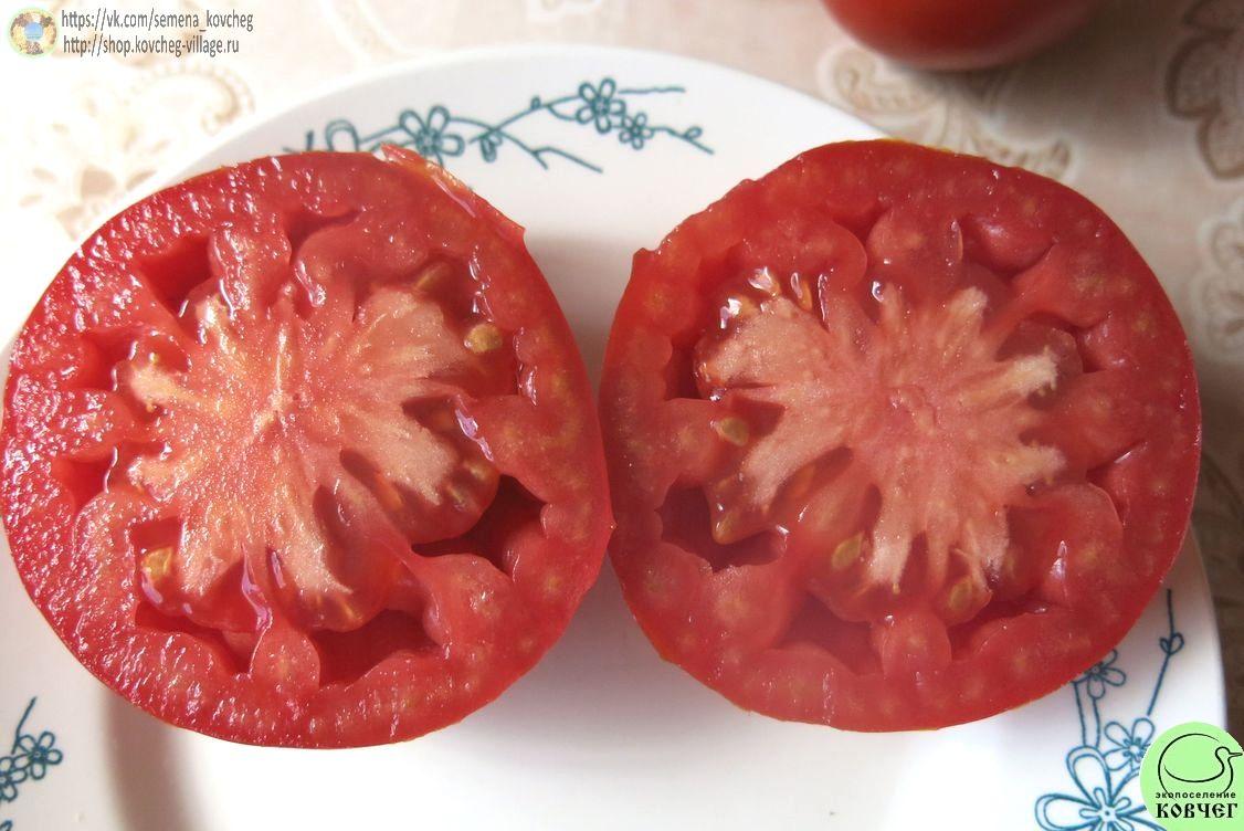 38. Старообрядческий (8)_1 2024г. Семена томата Старообрядческий