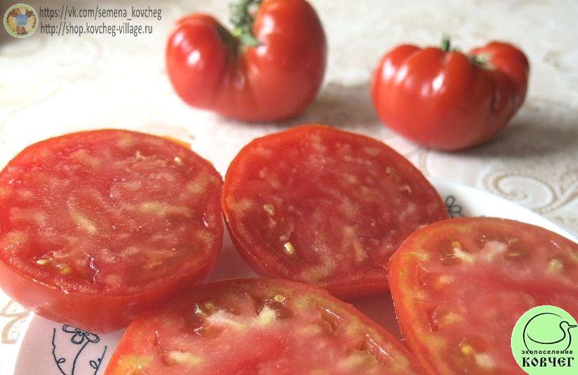 39. Стопудовый (5)_1 Семена томата Стопудовый