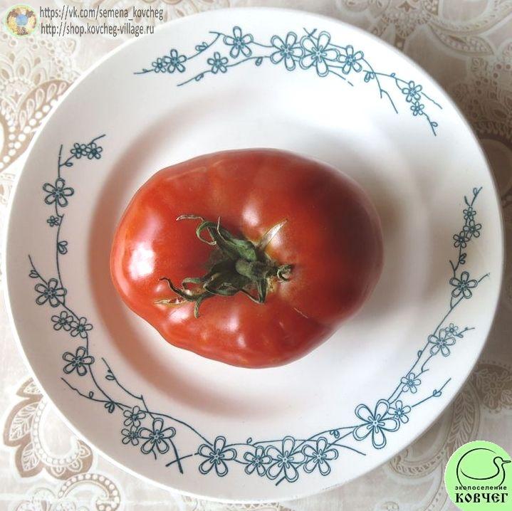 39. Стопудовый_1 Семена томата Стопудовый