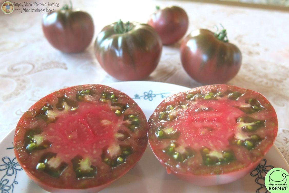 46. Чёрный слон (19)_1 2025г. Семена томата Чёрный слон