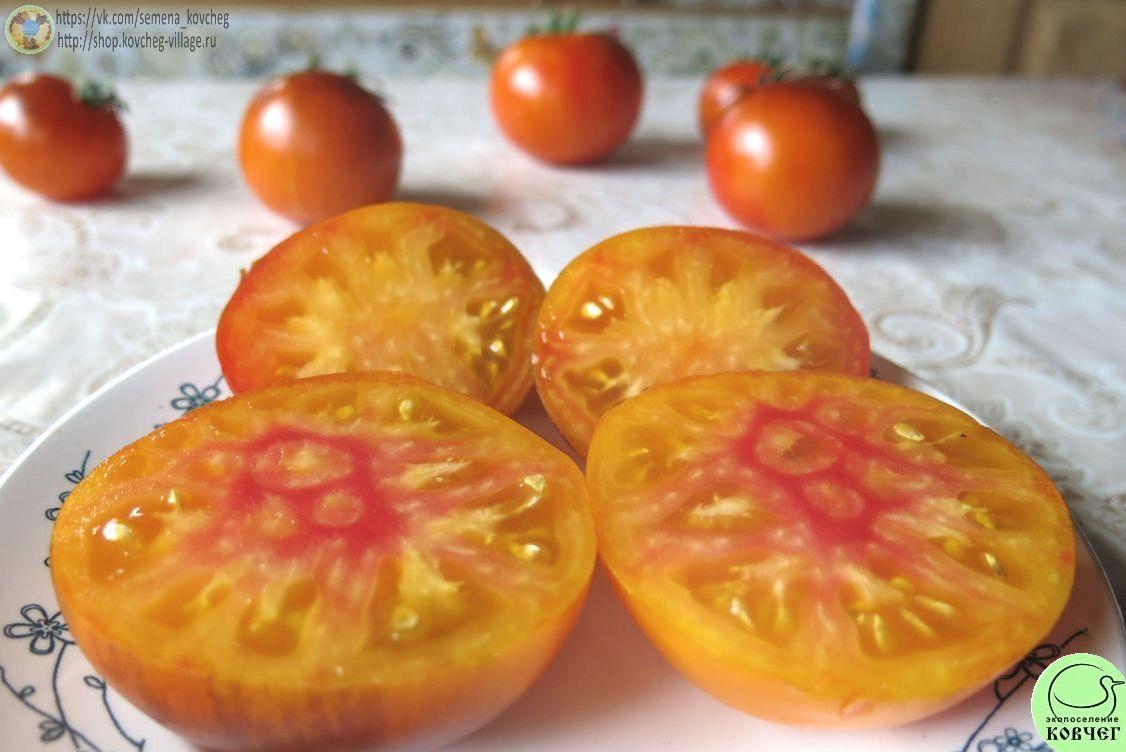 50. Ясный самоцвет (10)_1 Семена томата Ясный самоцвет