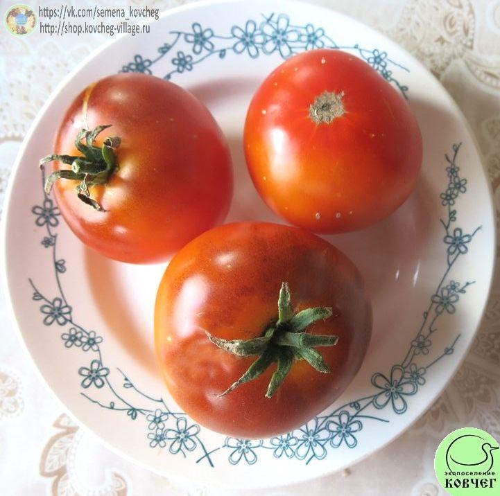 50. Ясный самоцвет (6)_1 Семена томата Ясный самоцвет