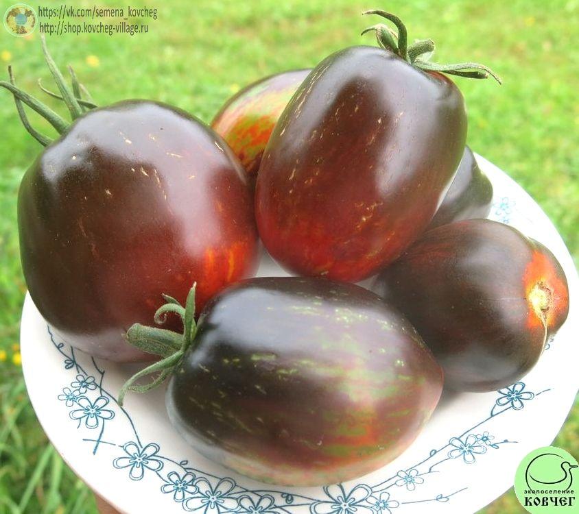 7. Гаргамель (6)_1 Семена томата Гаргамель