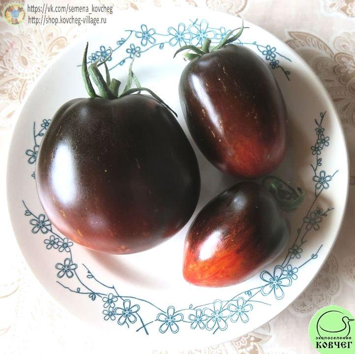 7. Гаргамель (9)_1 Семена томата Гаргамель