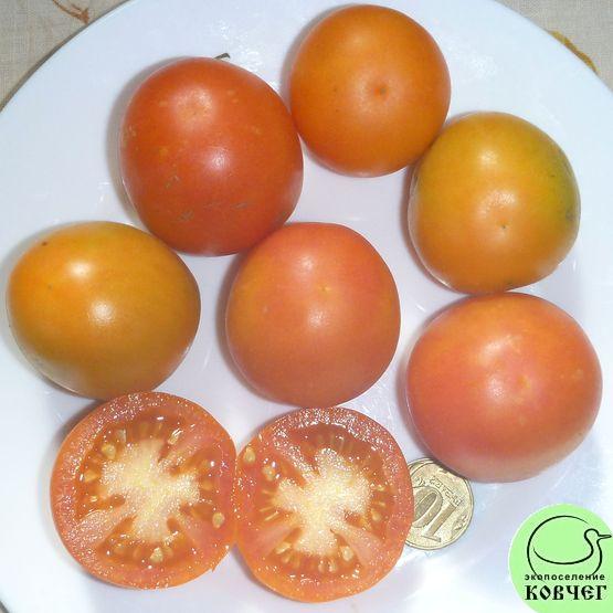Семена томата Оранжевый Персик